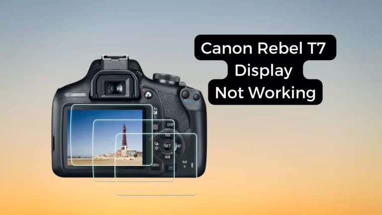 Canon Rebel T7 Display Not Working: Causes & Solution