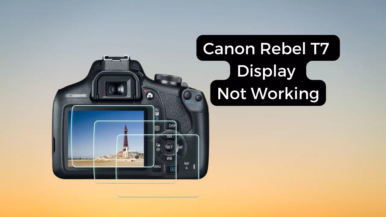 canon T7 display not working