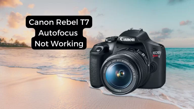 Canon Rebel T7 Autofocus Not Working: 6 Reasons & Solutions