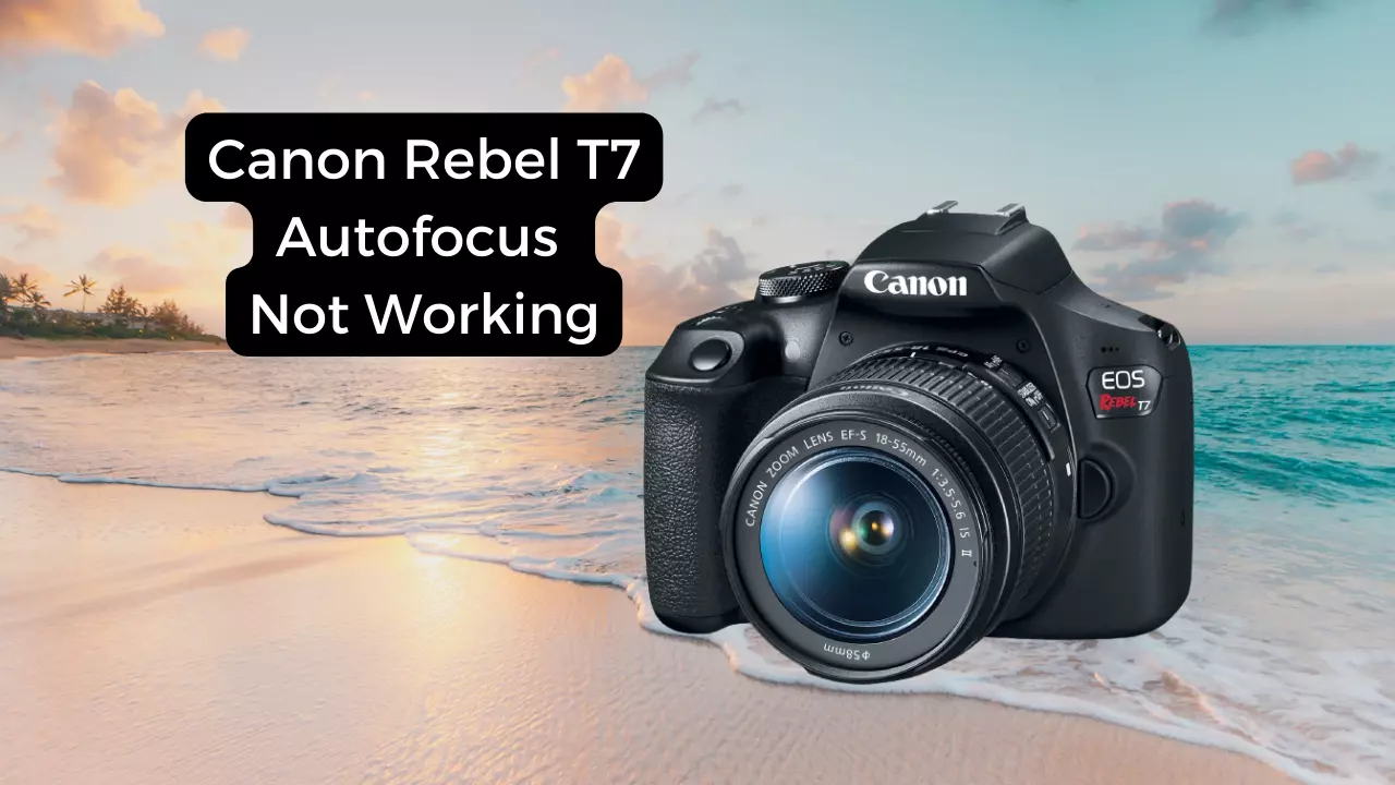 canon rebel t7 autofocus not working