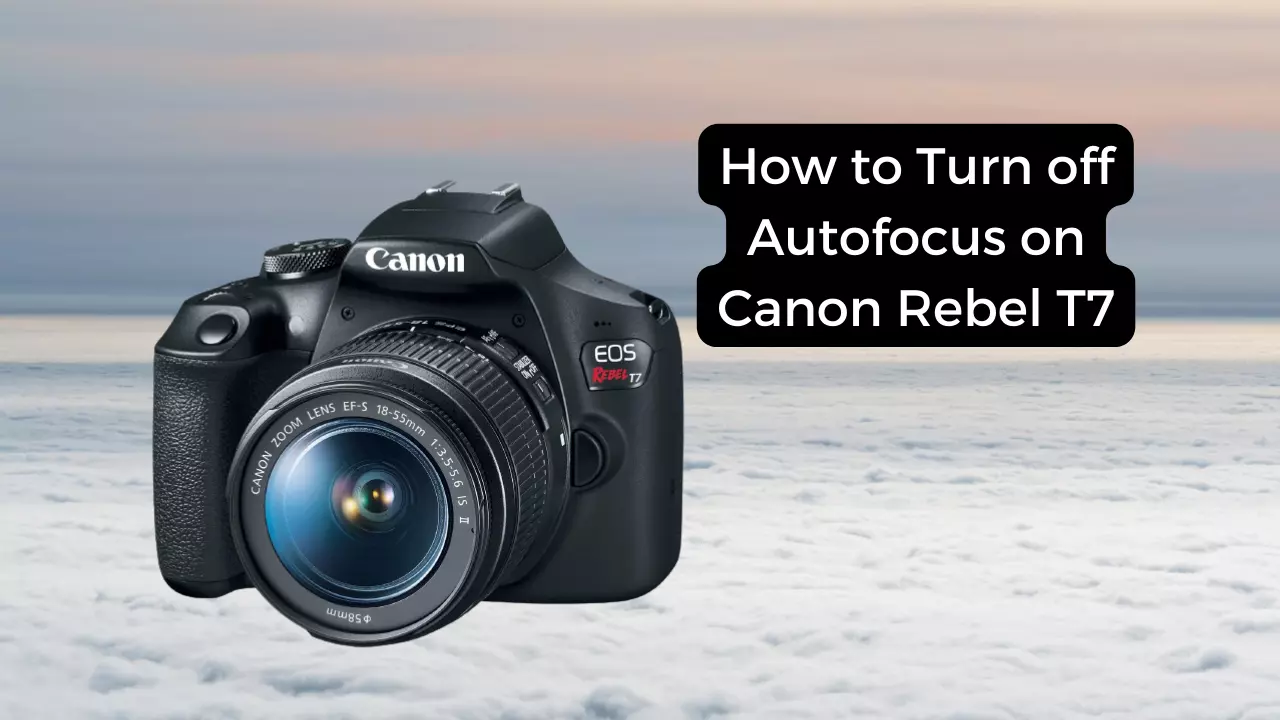 How to Turn off Autofocus on Canon Rebel T7? Camera Clickz