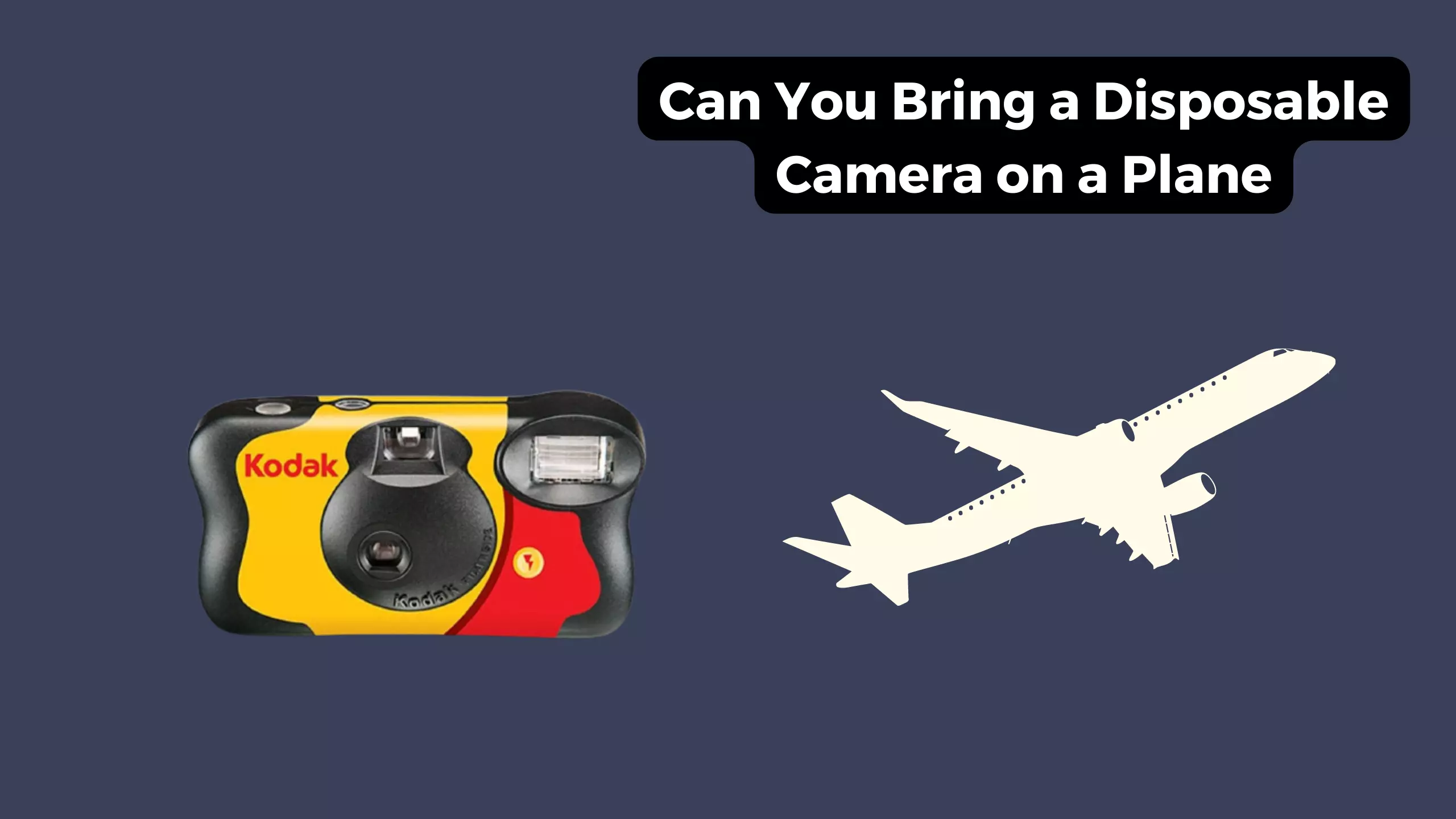 bring a disposable camera on a plane