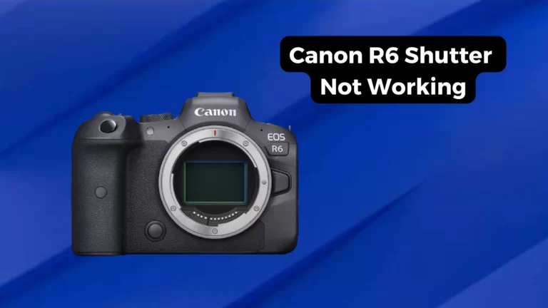 Canon R6 Shutter Not Working: 2 Main Reasons and Solutions