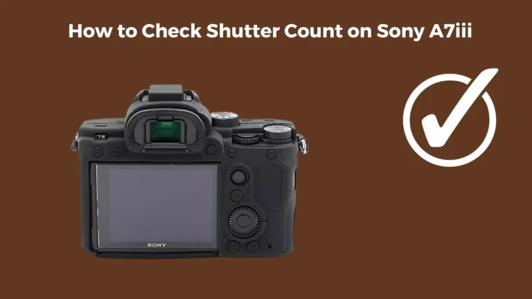 How to Check Shutter Count on Sony A7iii – 3 Methods