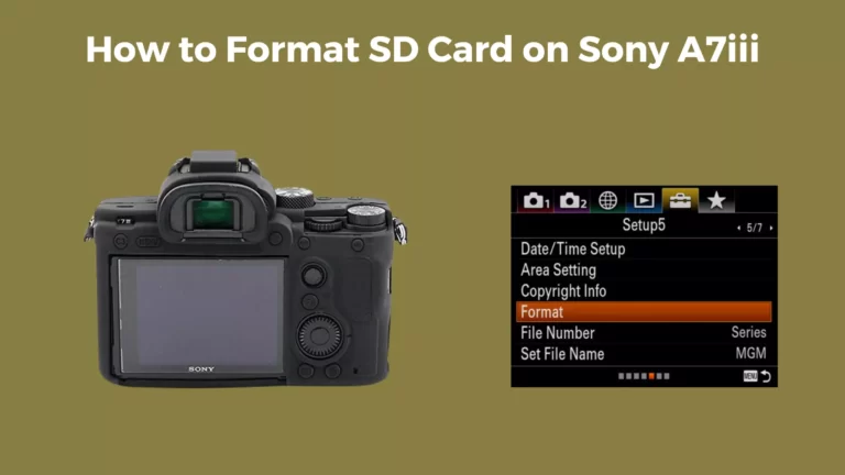 How to Format SD Card on Sony A7iii?